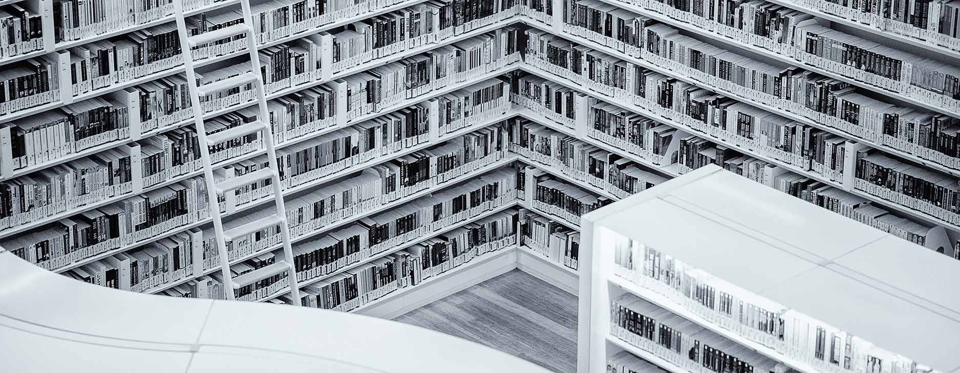 Bibliografia